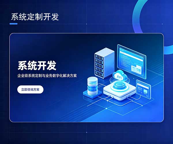 系统定制